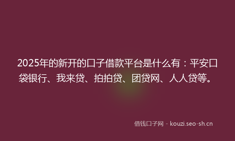 2025年的新开的口子借款平台是什么有：平安口袋银行、我来贷、拍拍贷、团贷网、人人贷等。