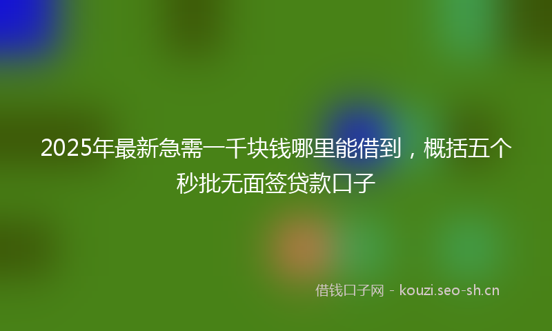 2025年最新急需一千块钱哪里能借到，概括五个秒批无面签贷款口子