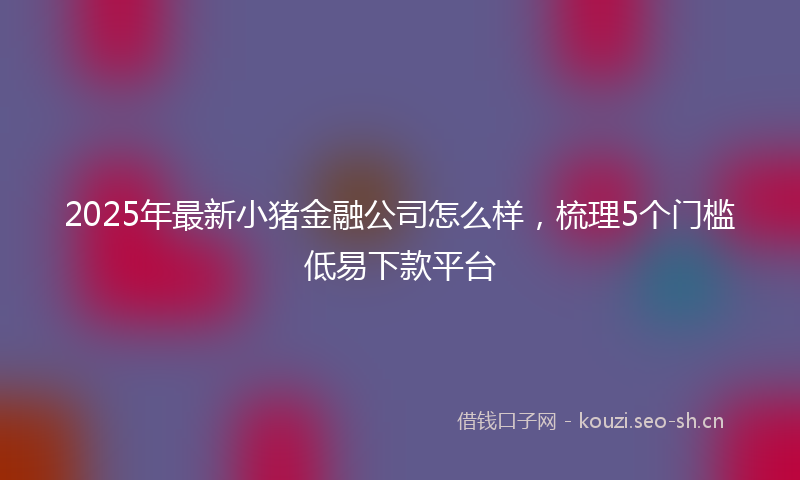 2025年最新小猪金融公司怎么样，梳理5个门槛低易下款平台