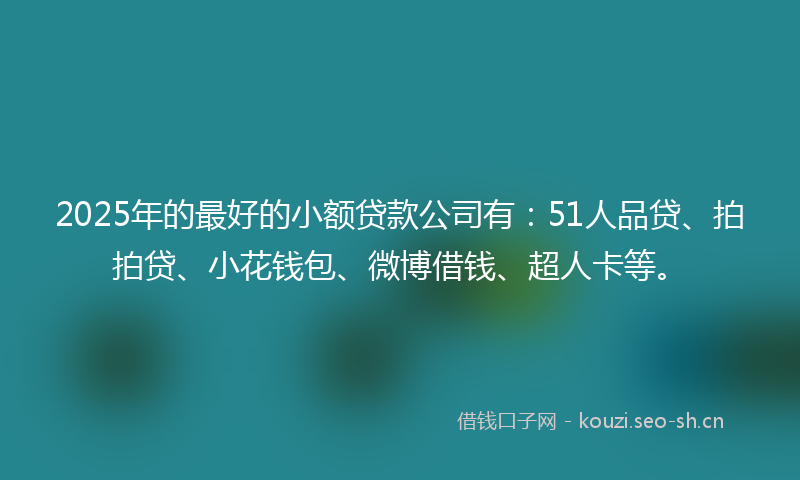 2025年的最好的小额贷款公司有：51人品贷、拍拍贷、小花钱包、微博借钱、超人卡等。