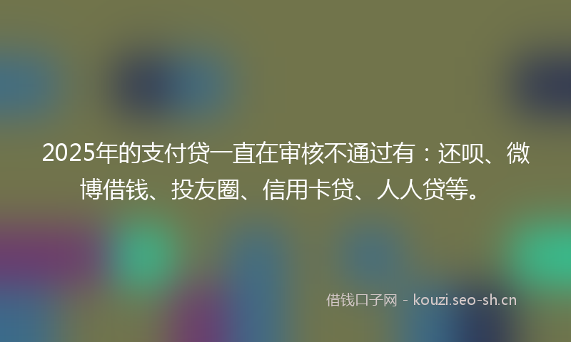 2025年的支付贷一直在审核不通过有：还呗、微博借钱、投友圈、信用卡贷、人人贷等。