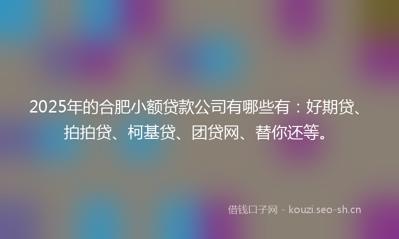 2025年的合肥小额贷款公司有哪些有：好期贷、拍拍贷、柯基贷、团贷网、替你还等。