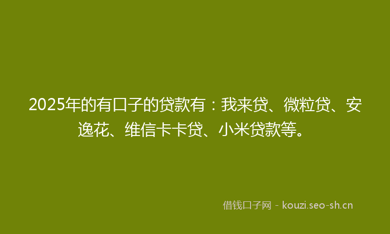 2025年的有口子的贷款有：我来贷、微粒贷、安逸花、维信卡卡贷、小米贷款等。