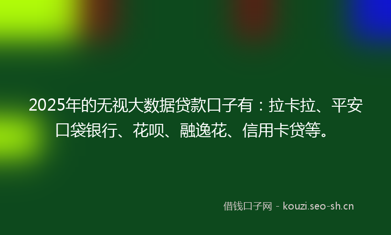 2025年的无视大数据贷款口子有：拉卡拉、平安口袋银行、花呗、融逸花、信用卡贷等。