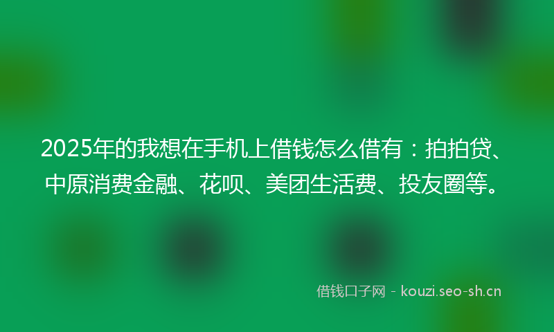 2025年的我想在手机上借钱怎么借有：拍拍贷、中原消费金融、花呗、美团生活费、投友圈等。