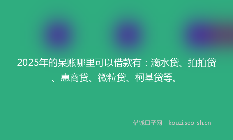 2025年的呆账哪里可以借款有：滴水贷、拍拍贷、惠商贷、微粒贷、柯基贷等。