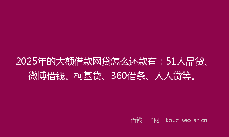 2025年的大额借款网贷怎么还款有：51人品贷、微博借钱、柯基贷、360借条、人人贷等。