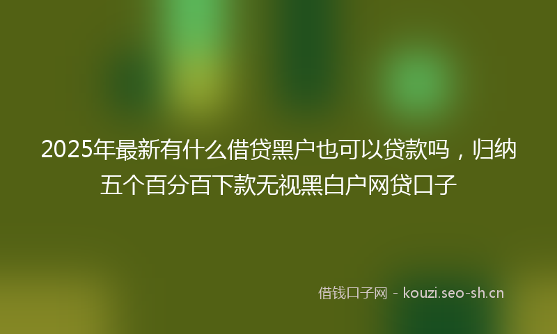 2025年最新有什么借贷黑户也可以贷款吗，归纳五个百分百下款无视黑白户网贷口子