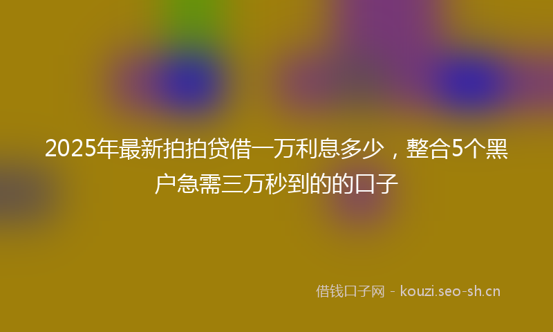 2025年最新拍拍贷借一万利息多少，整合5个黑户急需三万秒到的的口子