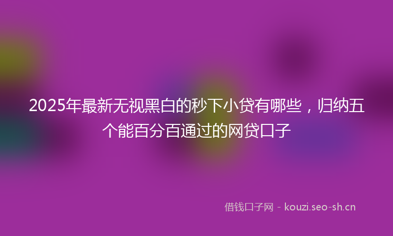 2025年最新无视黑白的秒下小贷有哪些，归纳五个能百分百通过的网贷口子