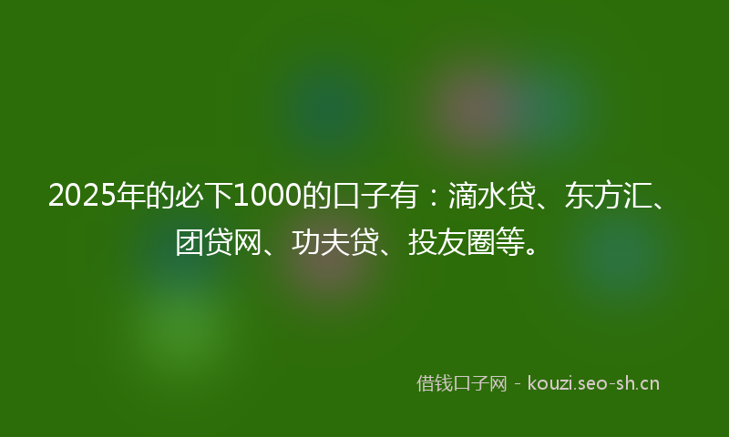 2025年的必下1000的口子有：滴水贷、东方汇、团贷网、功夫贷、投友圈等。