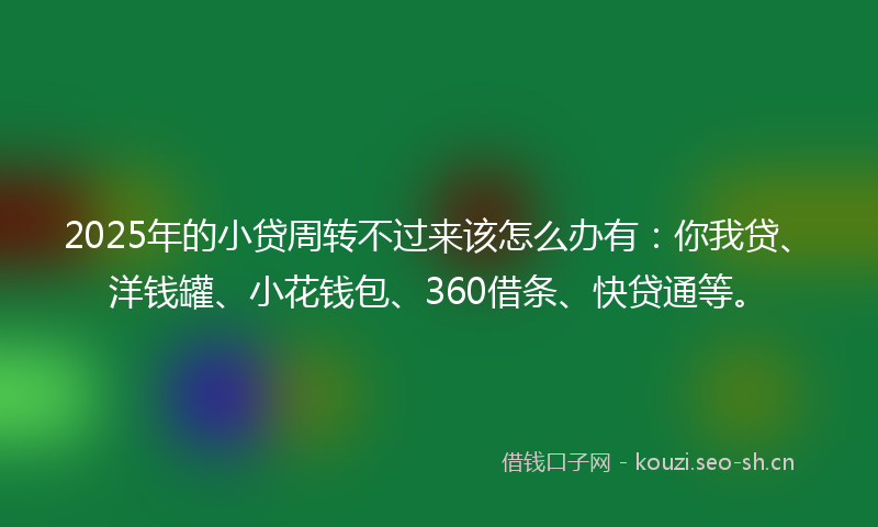2025年的小贷周转不过来该怎么办有：你我贷、洋钱罐、小花钱包、360借条、快贷通等。