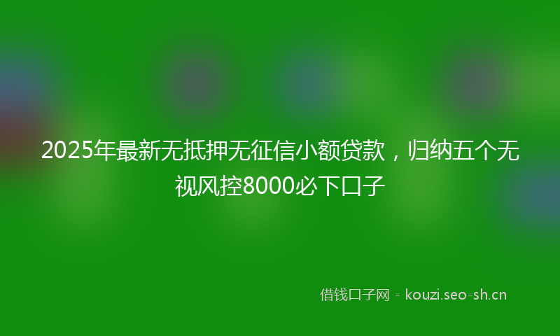 2025年最新无抵押无征信小额贷款，归纳五个无视风控8000必下口子