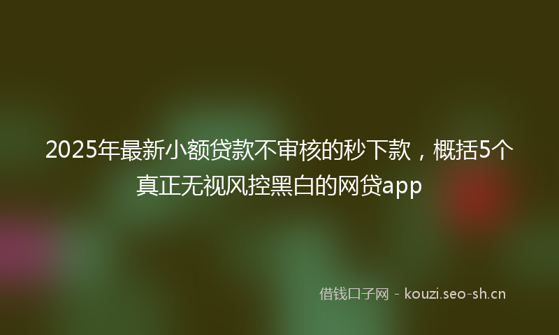 2025年最新小额贷款不审核的秒下款，概括5个真正无视风控黑白的网贷app