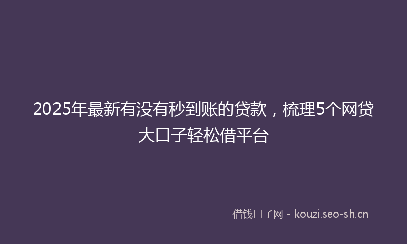 2025年最新有没有秒到账的贷款，梳理5个网贷大口子轻松借平台