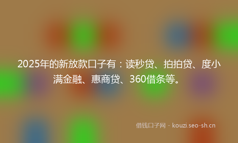 2025年的新放款口子有：读秒贷、拍拍贷、度小满金融、惠商贷、360借条等。