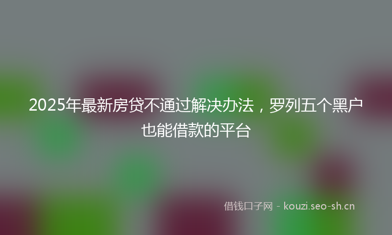 2025年最新房贷不通过解决办法，罗列五个黑户也能借款的平台