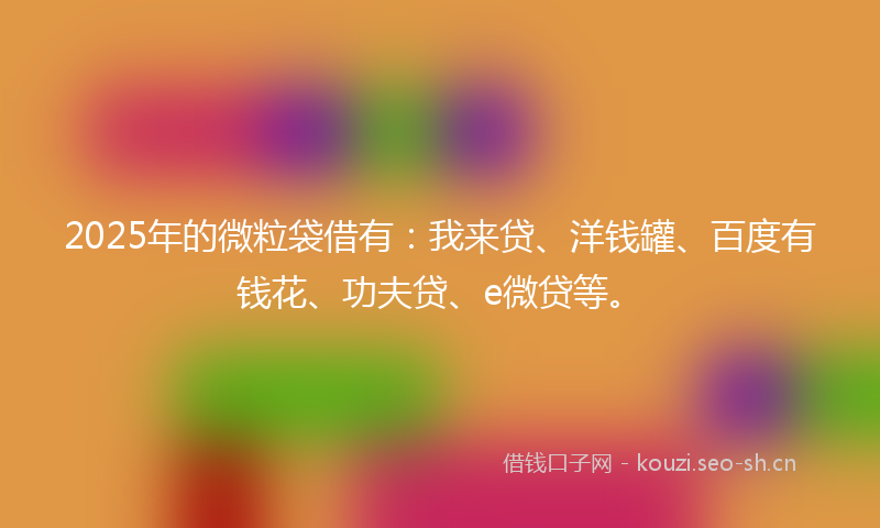 2025年的微粒袋借有：我来贷、洋钱罐、百度有钱花、功夫贷、e微贷等。