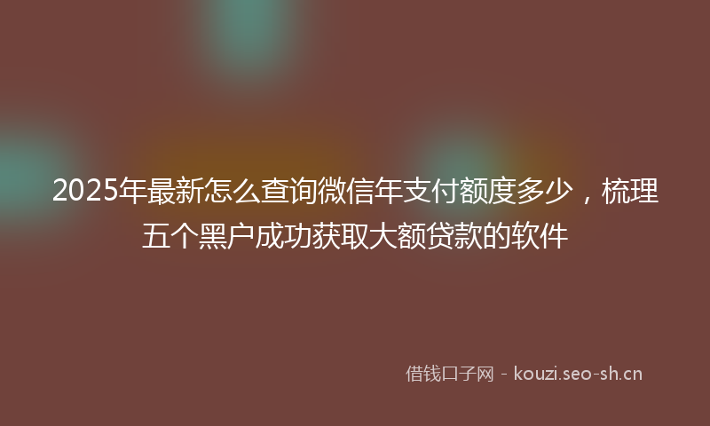 2025年最新怎么查询微信年支付额度多少，梳理五个黑户成功获取大额贷款的软件