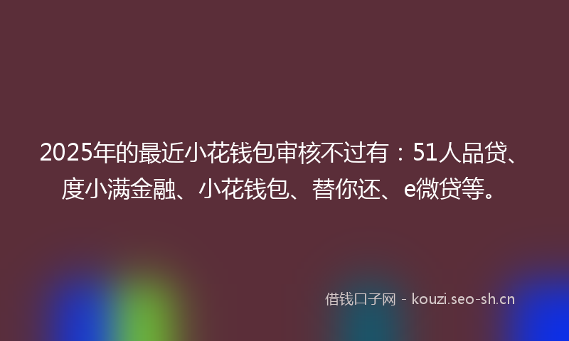 2025年的最近小花钱包审核不过有：51人品贷、度小满金融、小花钱包、替你还、e微贷等。