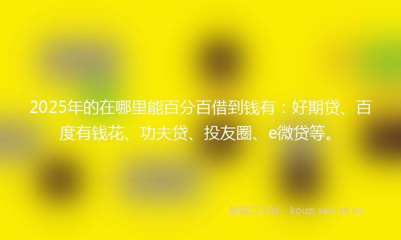 2025年的在哪里能百分百借到钱有：好期贷、百度有钱花、功夫贷、投友圈、e微贷等。