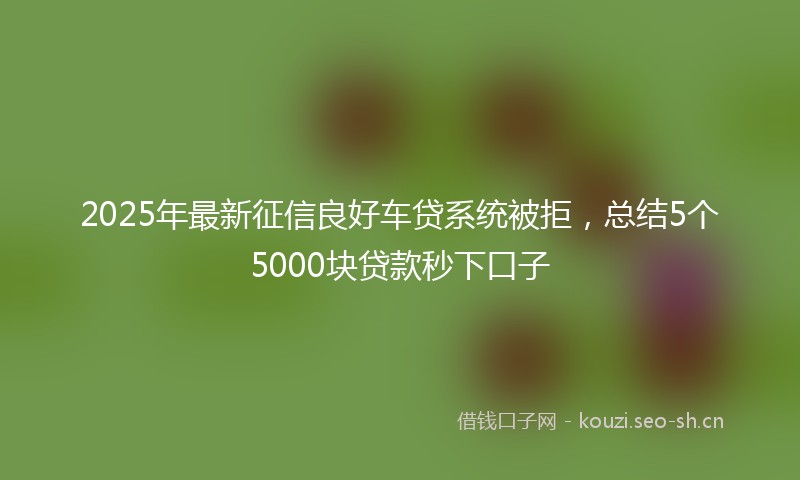 2025年最新征信良好车贷系统被拒，总结5个5000块贷款秒下口子