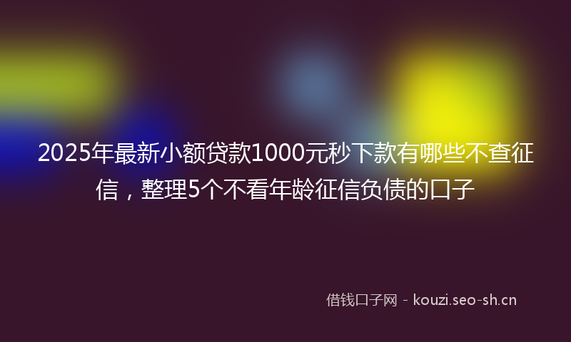 2025年最新小额贷款1000元秒下款有哪些不查征信，整理5个不看年龄征信负债的口子