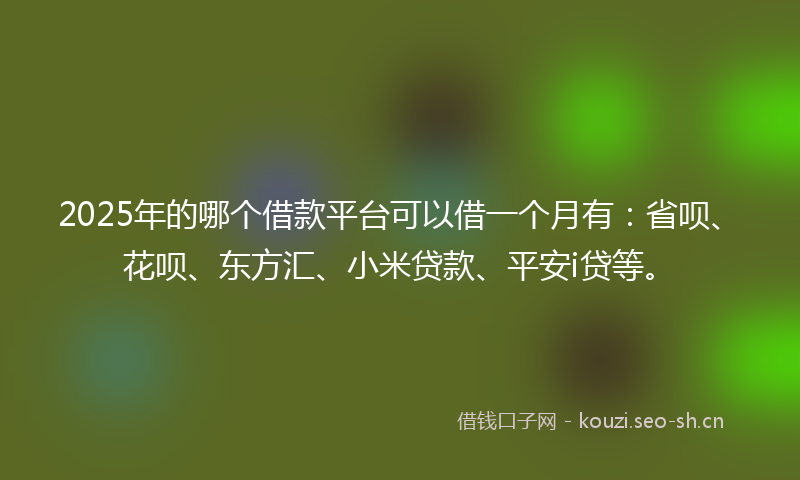 2025年的哪个借款平台可以借一个月有：省呗、花呗、东方汇、小米贷款、平安i贷等。