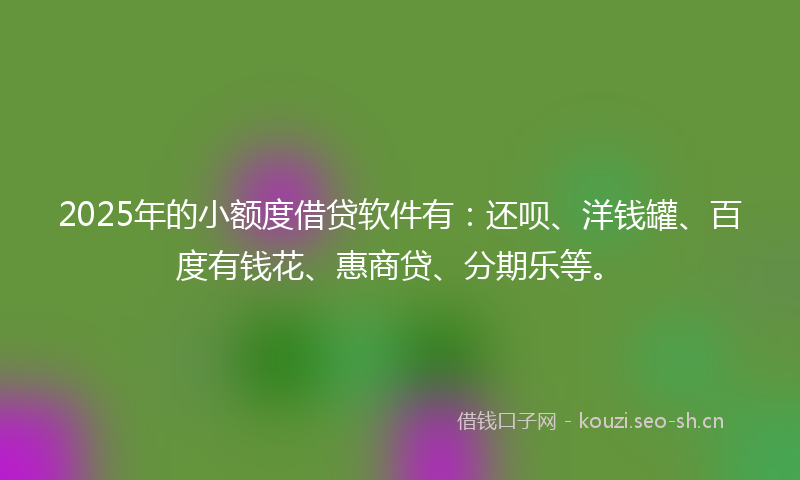 2025年的小额度借贷软件有：还呗、洋钱罐、百度有钱花、惠商贷、分期乐等。
