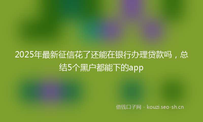 2025年最新征信花了还能在银行办理贷款吗，总结5个黑户都能下的app