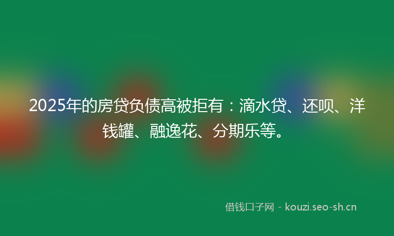 2025年的房贷负债高被拒有：滴水贷、还呗、洋钱罐、融逸花、分期乐等。