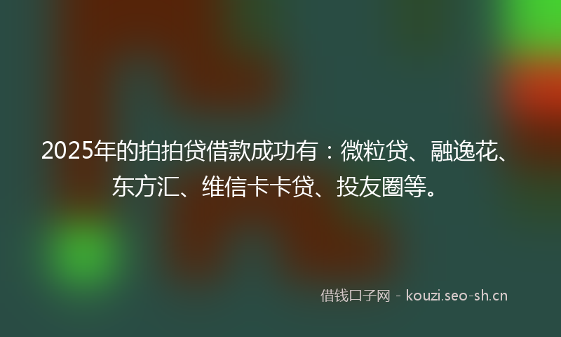 2025年的拍拍贷借款成功有：微粒贷、融逸花、东方汇、维信卡卡贷、投友圈等。