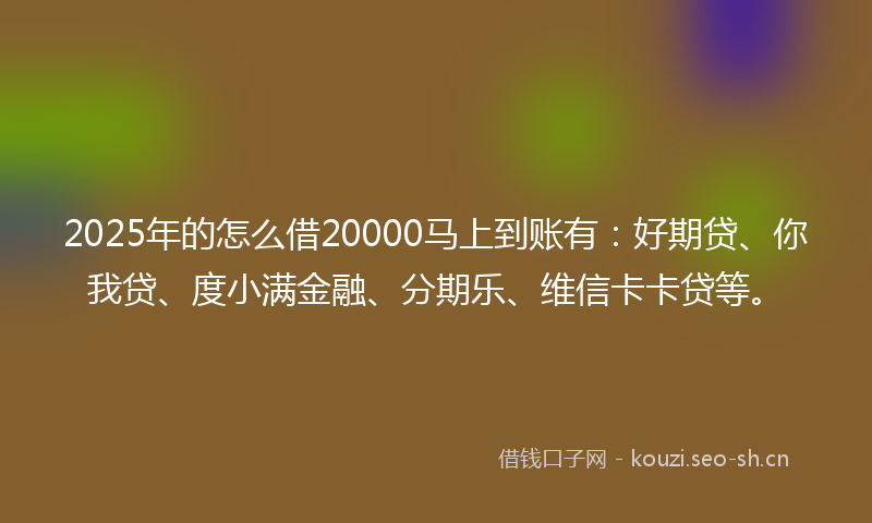 2025年的怎么借20000马上到账有：好期贷、你我贷、度小满金融、分期乐、维信卡卡贷等。