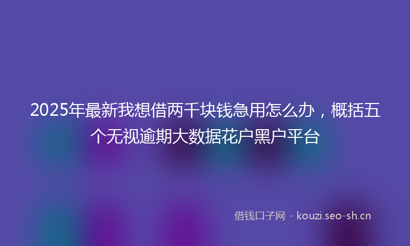 2025年最新我想借两千块钱急用怎么办，概括五个无视逾期大数据花户黑户平台