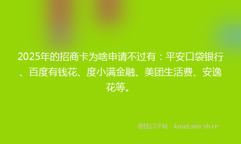 2025年的招商卡为啥申请不过有：平安口袋银行、百度有钱花、度小满金融、美团生活费、安逸花等。