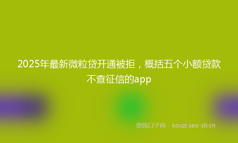2025年最新微粒贷开通被拒，概括五个小额贷款不查征信的app