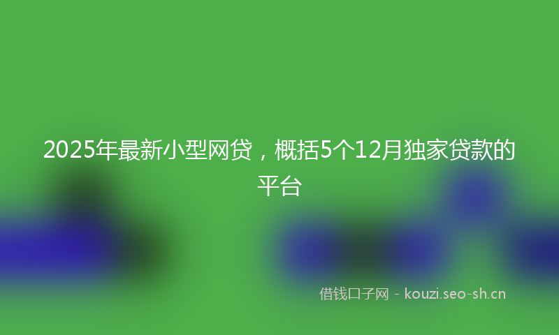 2025年最新小型网贷，概括5个12月独家贷款的平台