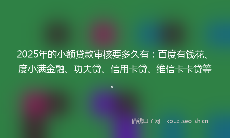 2025年的小额贷款审核要多久有：百度有钱花、度小满金融、功夫贷、信用卡贷、维信卡卡贷等。
