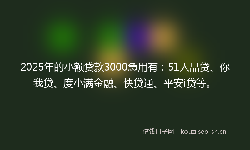 2025年的小额贷款3000急用有：51人品贷、你我贷、度小满金融、快贷通、平安i贷等。