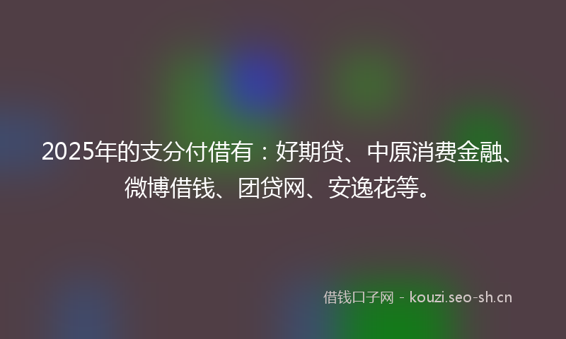 2025年的支分付借有：好期贷、中原消费金融、微博借钱、团贷网、安逸花等。