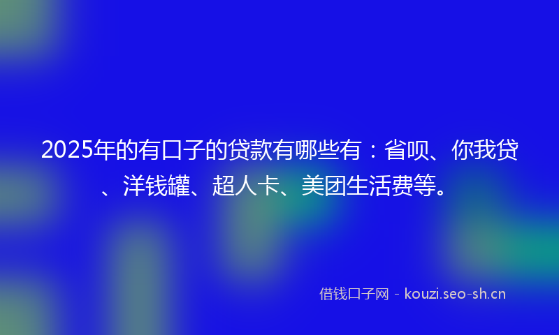 2025年的有口子的贷款有哪些有：省呗、你我贷、洋钱罐、超人卡、美团生活费等。