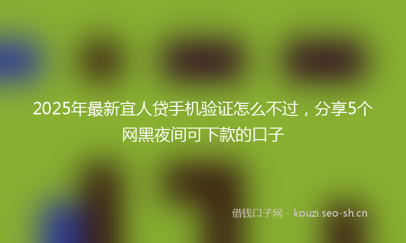 2025年最新宜人贷手机验证怎么不过，分享5个网黑夜间可下款的口子