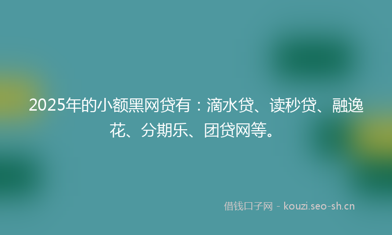 2025年的小额黑网贷有：滴水贷、读秒贷、融逸花、分期乐、团贷网等。