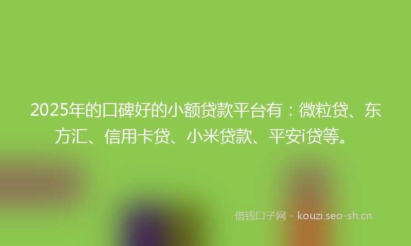 2025年的口碑好的小额贷款平台有：微粒贷、东方汇、信用卡贷、小米贷款、平安i贷等。