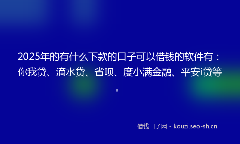 2025年的有什么下款的口子可以借钱的软件有：你我贷、滴水贷、省呗、度小满金融、平安i贷等。