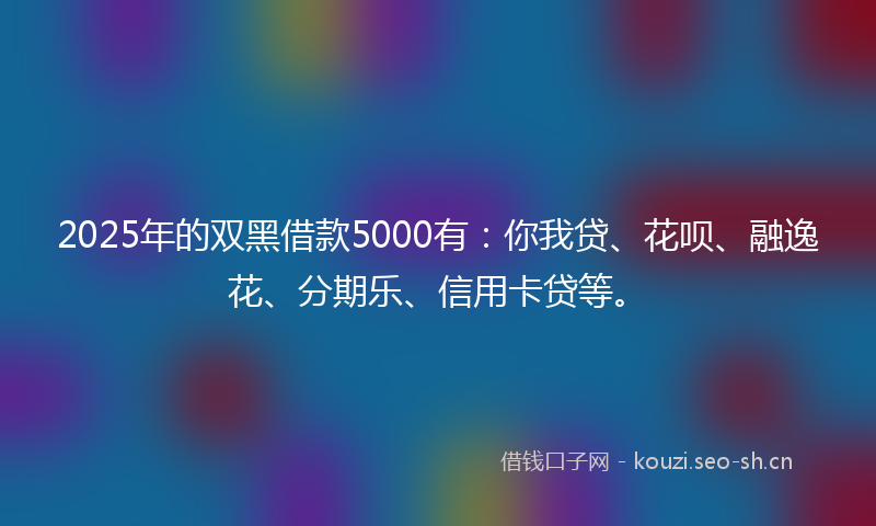 2025年的双黑借款5000有:你我贷、花呗、融逸花、分期乐、信用卡贷等。