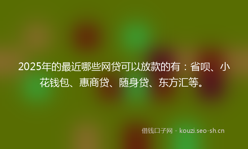 2025年的最近哪些网贷可以放款的有:省呗、小花钱包、惠商贷、随身贷、东方汇等。