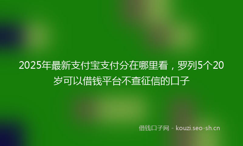 2025年最新支付宝支付分在哪里看，罗列5个20岁可以借钱平台不查征信的口子