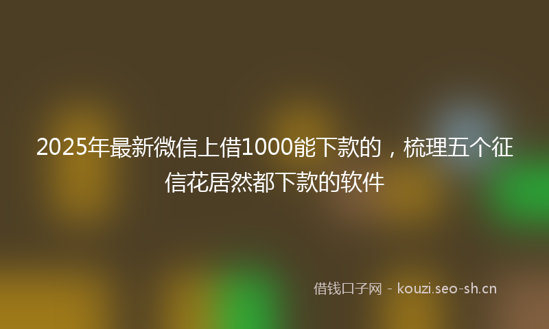 2025年最新微信上借1000能下款的，梳理五个征信花居然都下款的软件