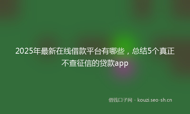 2025年最新在线借款平台有哪些，总结5个真正不查征信的贷款app
